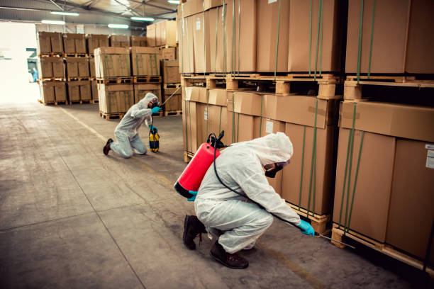 Best Affordable Pest Control Services  in Madera Ranchos, CA