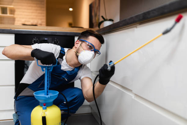 Best Pest Inspection Near Me  in Madera Ranchos, CA