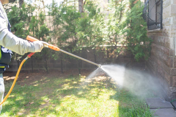 Pest Control Cost in Madera Ranchos, CA