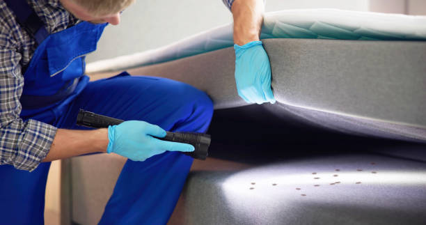 Best Residential Pest Control  in Madera Ranchos, CA