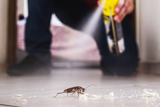 Madera Ranchos, CA Pest Control Company