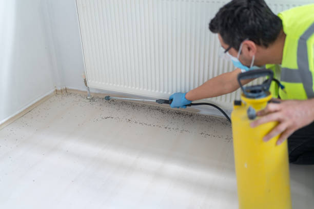 Best Best Pest Control Near Me  in Madera Ranchos, CA
